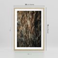 Plakat w ramie 50x70 - Tekstura Drewna: Zbliżenie - zbliżenie na pień drzewa, tekstura - rama drewno