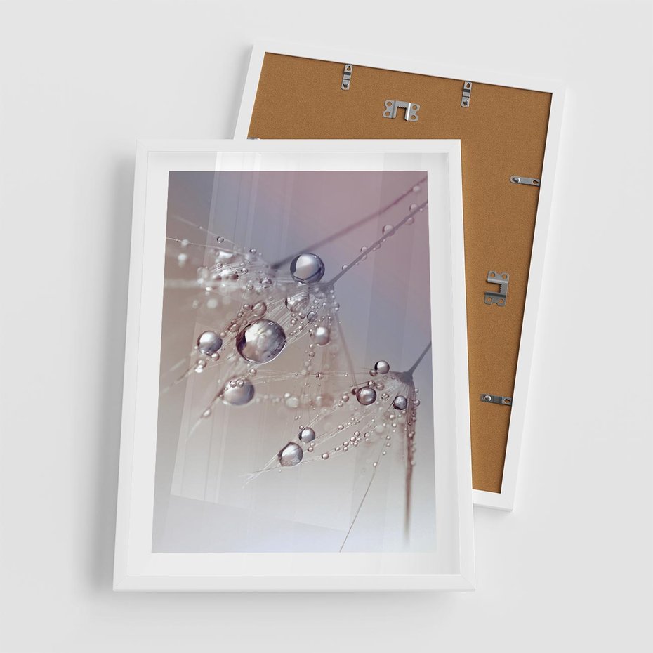 Plakat w ramie 50x70 - Delikatne Natchnienie - krople, dmuchawce - rama biała