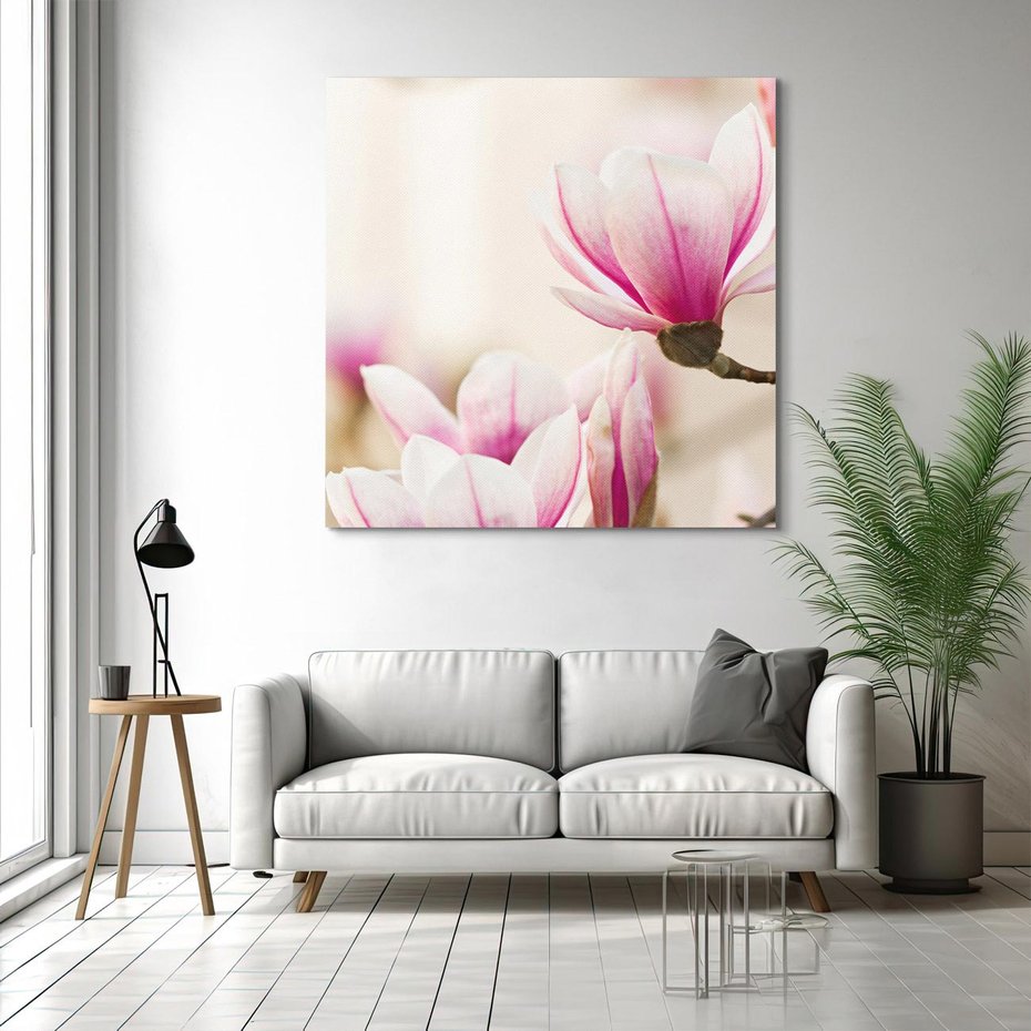 Obraz na płótnie 70x70 - Urok Magnolii - magnolie, kwiaty