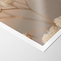 Plakat bez ramy 21x30 - Subtelna gipsówka - gipsówka, suche