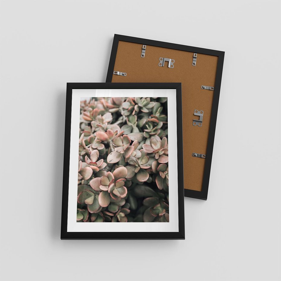 Plakat w ramie 30x40 - Sukulentowa Prostota - sukulenty, zielone liście - rama czarna