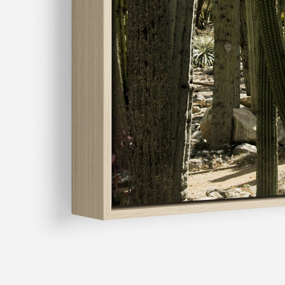 Obraz w ramie 80x120 - Wyjątkowy Klimat Boho - kaktusy, pustynia - rama drewno