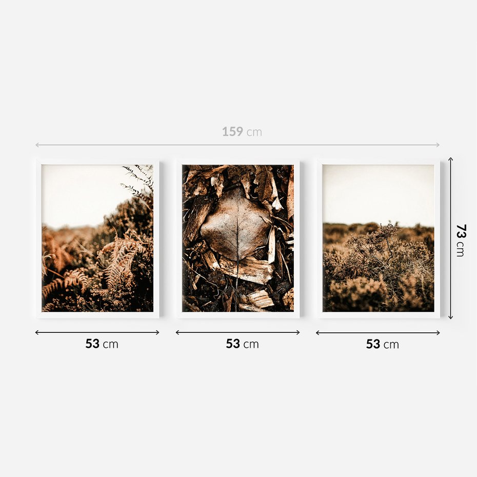 Zestaw obrazy w ramie 50x70 galeria - Jesienna, łąka, liście, boho - rama biała