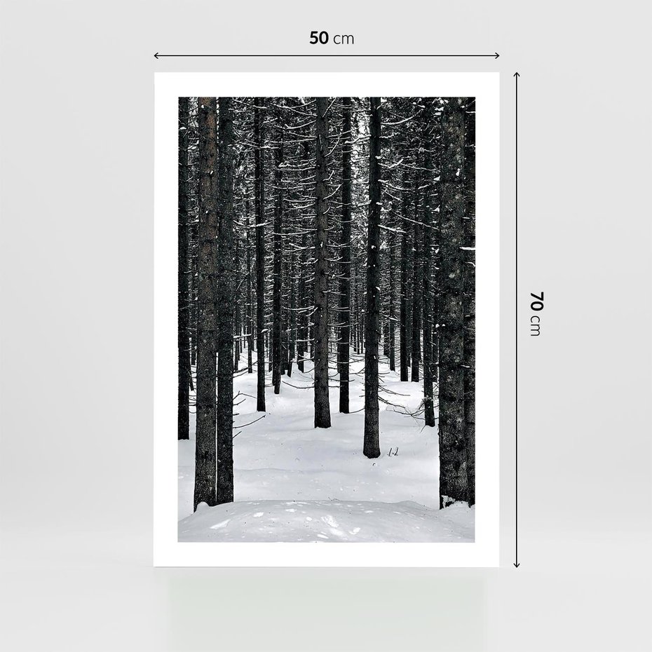 Plakat bez ramy 50x70 - Zimowe Drzewa: Śnieg na Pniach - drzew w zimi, pnie drzew