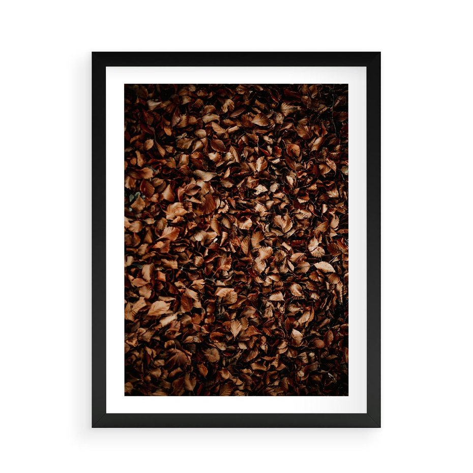 Plakat w ramie 50x70 - Jesienny Dywan - dywan z suchych liści, jesień - rama czarna