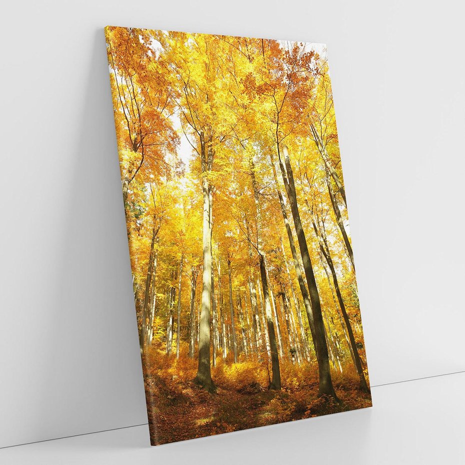 Obraz na płótnie 50x70 - Jesienny Las - Kolorowa Paleta Natury - jesień, drzewa