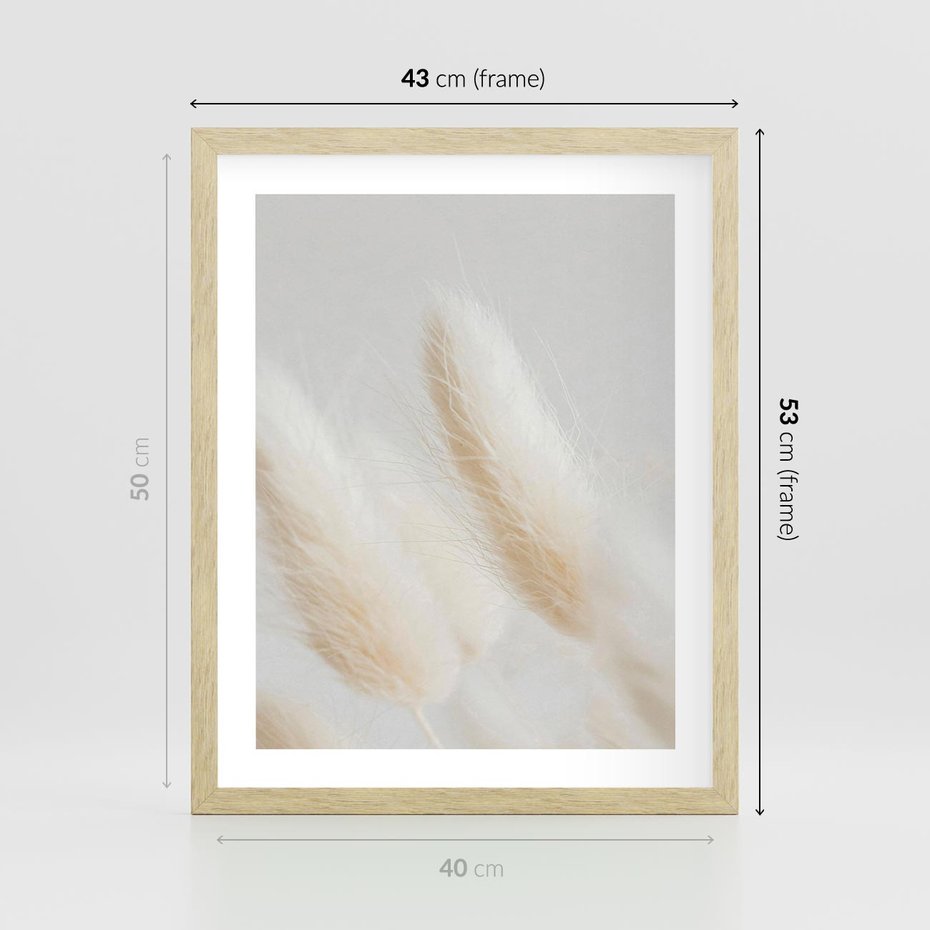 Plakat w ramie 40x50 - Czysty Minimalizm - białe trawy, minimalizm - rama drewno