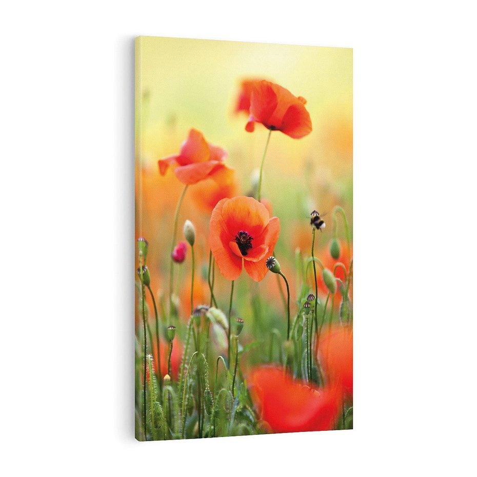 Obraz na płótnie 70x100 - Makowa Pasja - maki, kwiaty