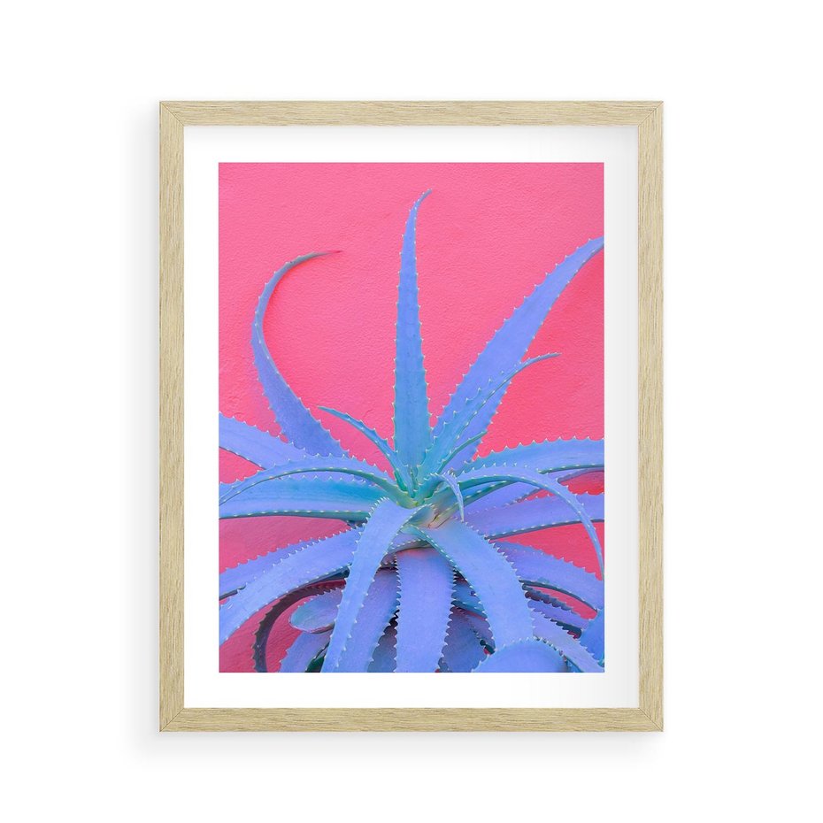 Plakat w ramie 40x50 - Piękno Pustyni - kaktusy, liście - rama drewno
