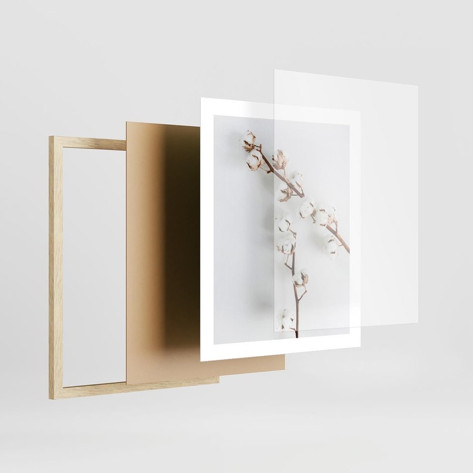 Plakat w ramie 40x50 - Gałęzie Bawełny na Białym Tle - gałęzie bawełny na białym tle, minimalizm - rama drewno