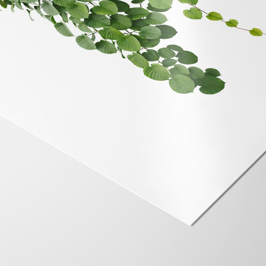 Plakat bez ramy 50x70 - Świeżość Natury - liście, zielone