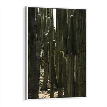 Obraz w ramie 80x120 - Wyjątkowy Klimat Boho - kaktusy, pustynia - rama biała