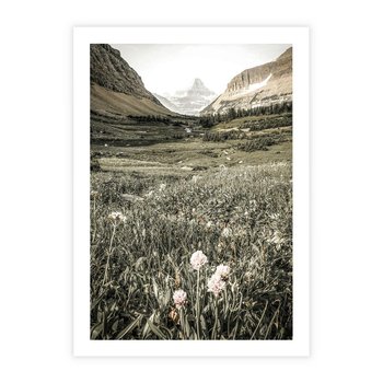 Plakat bez ramy 40x50 - Nostalgiczne Góry - górski krajobraz, łaka w górach