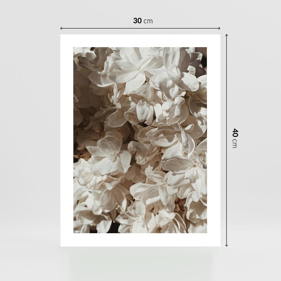 Plakat bez ramy 30x40 - Płatki w Detalu - białe kwiaty, zbliżenie