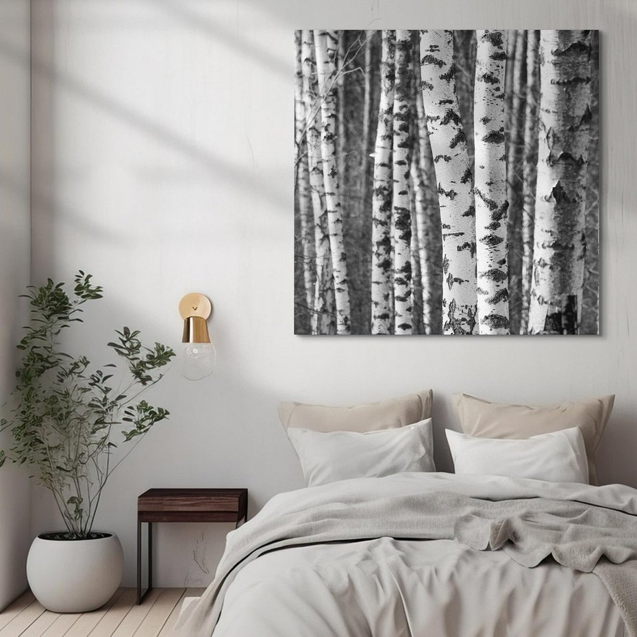 Obraz na płótnie 70x70 - Kontrast Monochromatyczny - brzozy, czarno