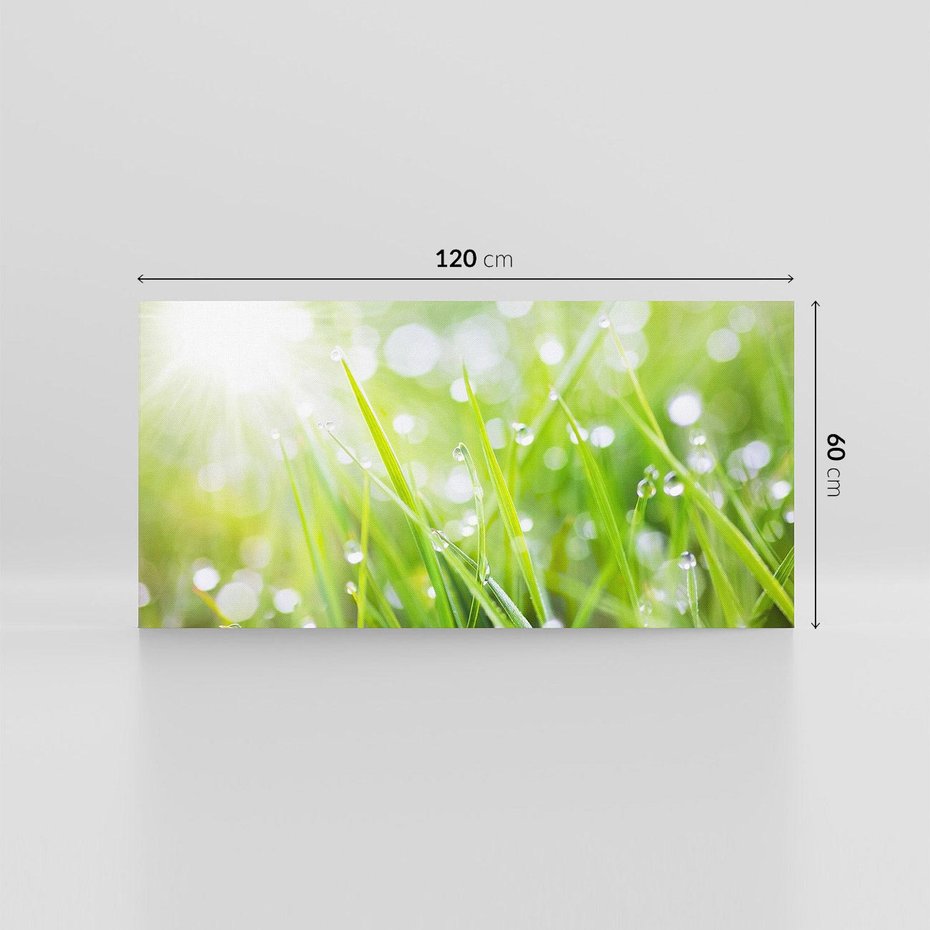 Obraz na płótnie 120x60 - Delikatna trawa pokryta rosą - trawa, rosa