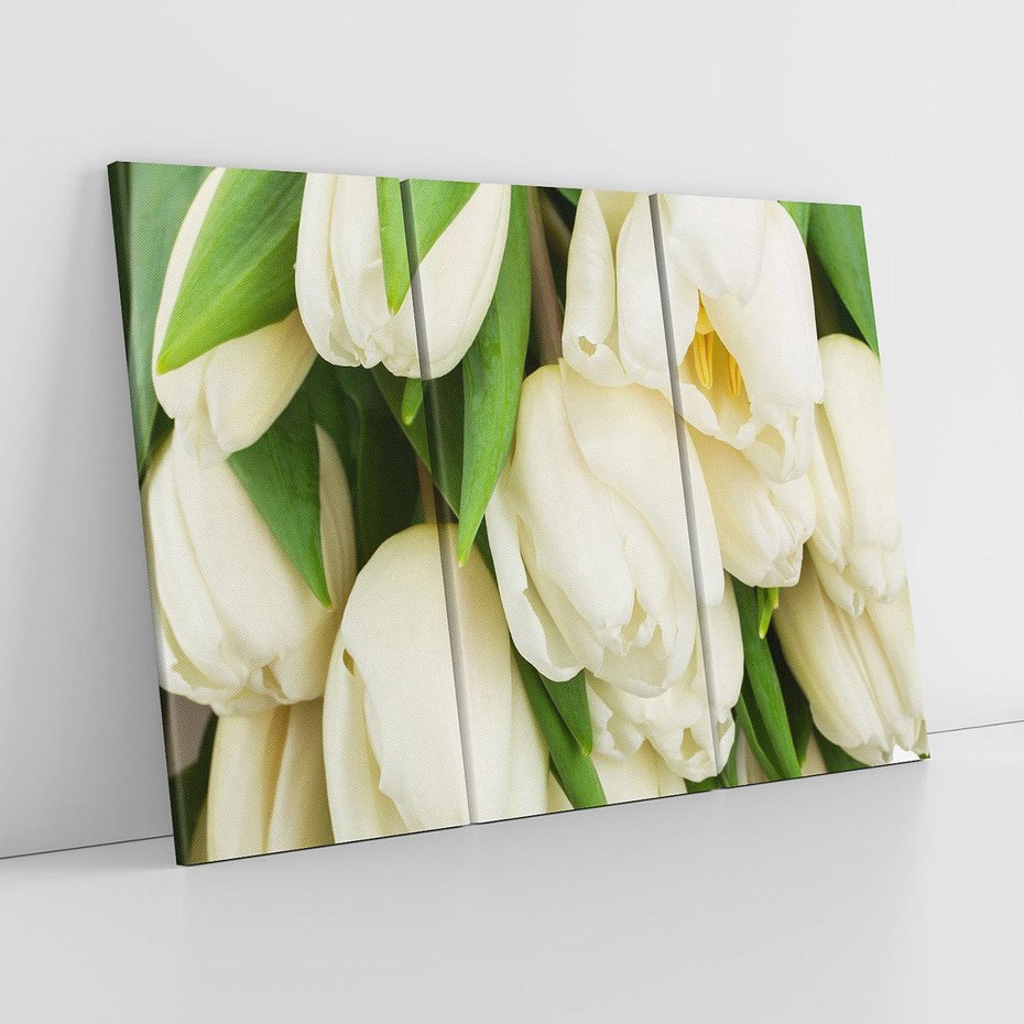 Obraz na płótnie 120x80 - Białe tulipany w pełnym rozkwicie - białe, tulipany