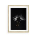 Plakat w ramie 30x40 - Delikatność Wiatru - dmuchawce, makro - rama drewno