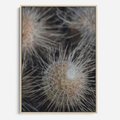 Obraz w ramie 80x120 - Ulotna Piękność Natury - makro, dmuchawce - rama drewno