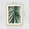 Plakat w ramie 30x40 - Spokojna Piękność Palmowych Liści - palma, liście palmy - rama drewno