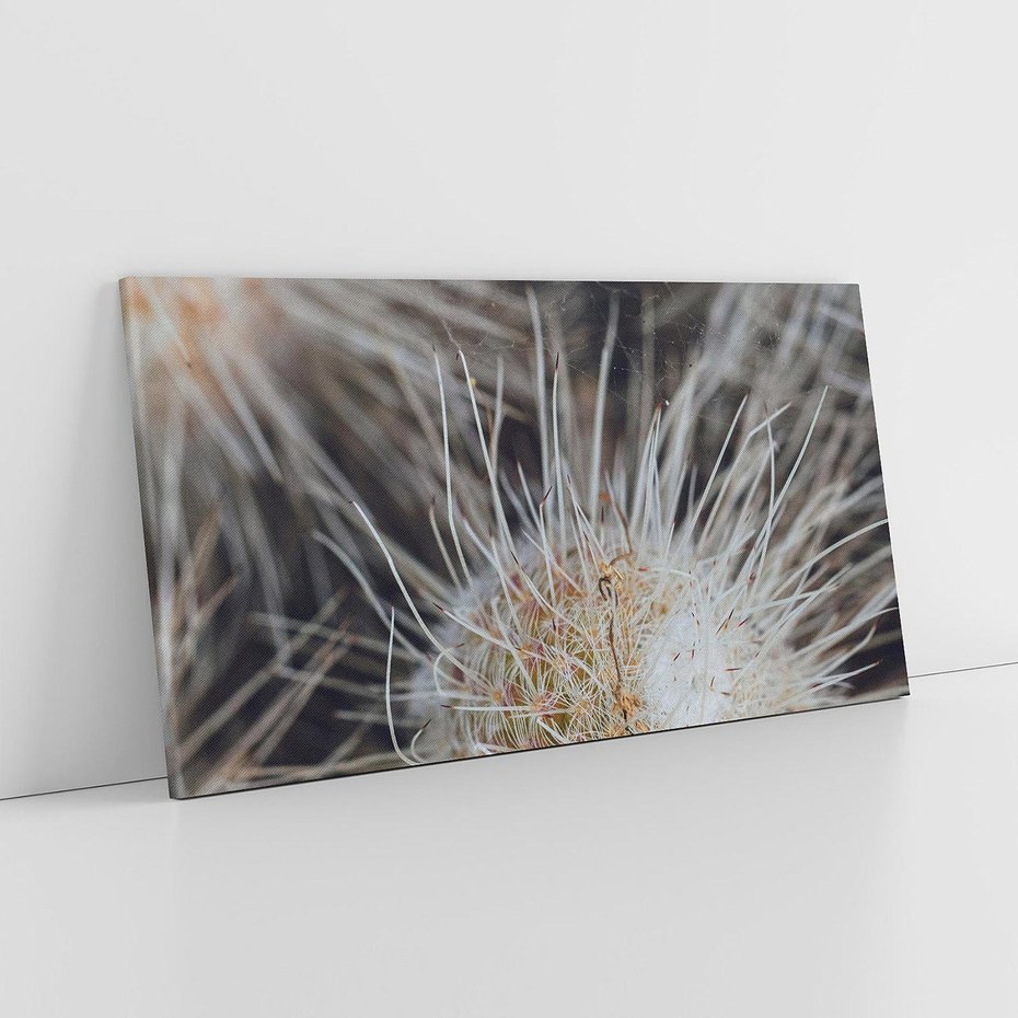 Obraz na płótnie 120x60 - Ulotna Piękność Natury - makro, dmuchawce