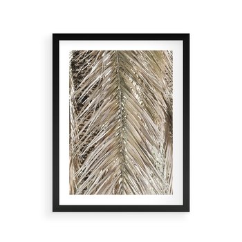 Plakat w ramie 30x40 - Boho Urok Palmy: Zbliżenie Natury - sucha palma, zbliżenie - rama czarna
