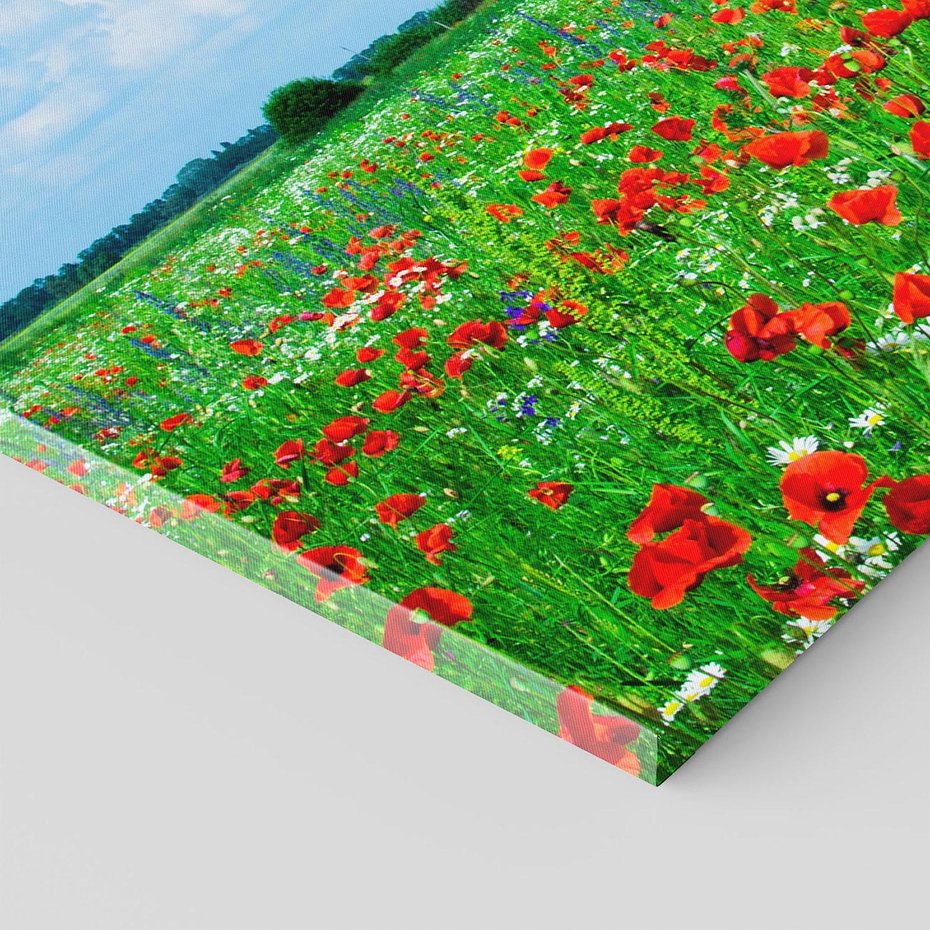 Obraz na płótnie 70x50 - Kolorowa łąka pełna maku - łąka, maki