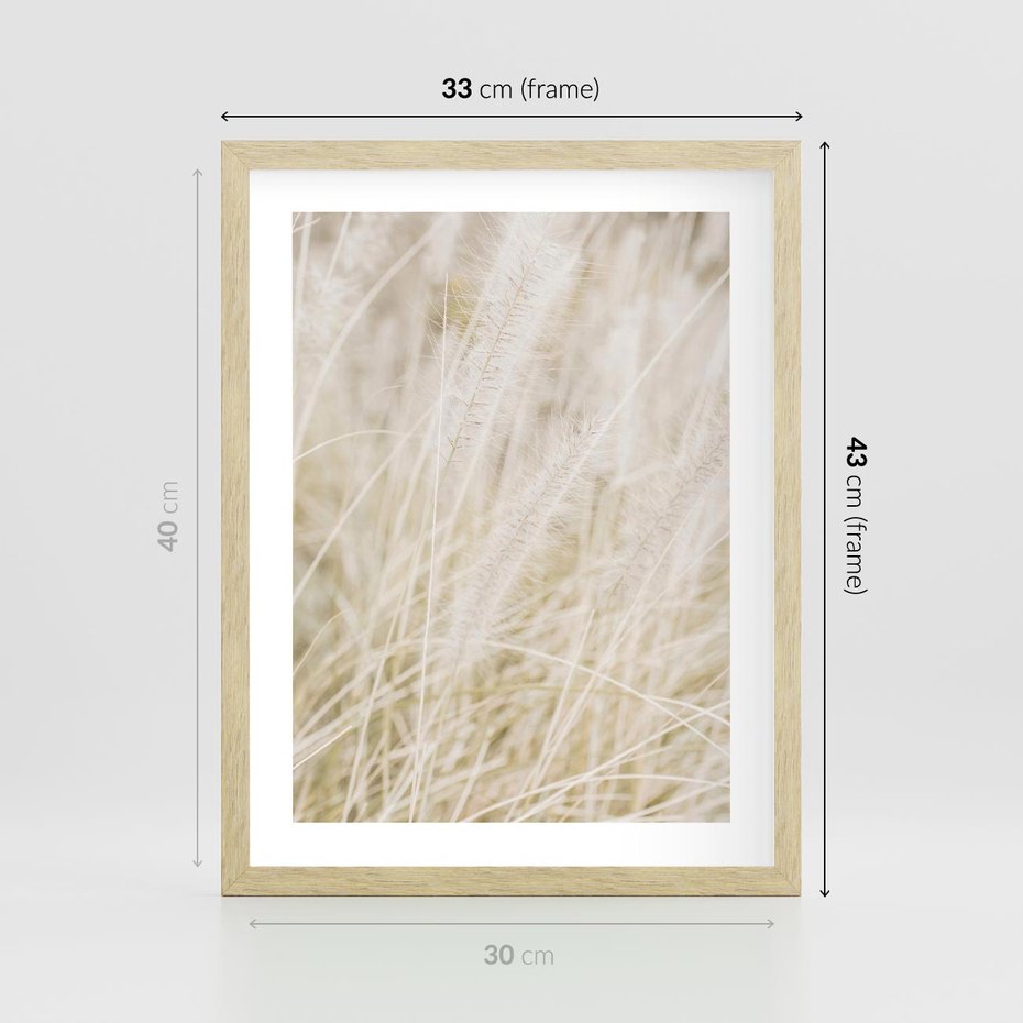Plakat w ramie 30x40 - Białe Trawy Pampas - suche trawy, białe trawy - rama drewno