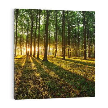 Obraz na płótnie 60x60 - Mistyfikujący urok leśnej głuszy - las, drzewa