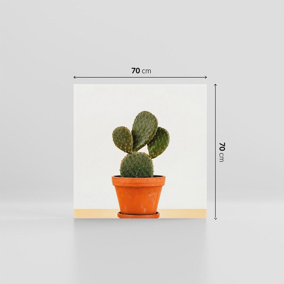 Obraz na płótnie 70x70 - Kwiatowy taniec kaktusa - kaktus, kwiat