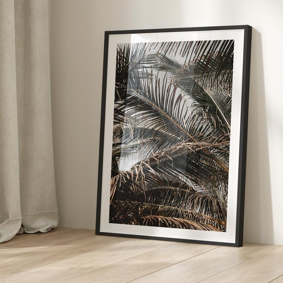 Plakat bez ramy 30x40 - Liściaste Palmy - palmy, drzewa palmowe