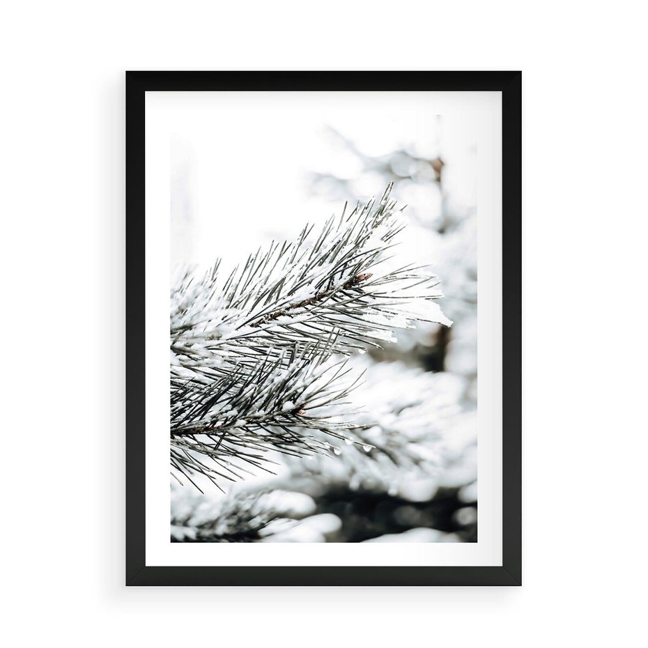Plakat w ramie 50x70 - Chwila Zimowej Magii - iglasta gałązka, śnieg - rama czarna