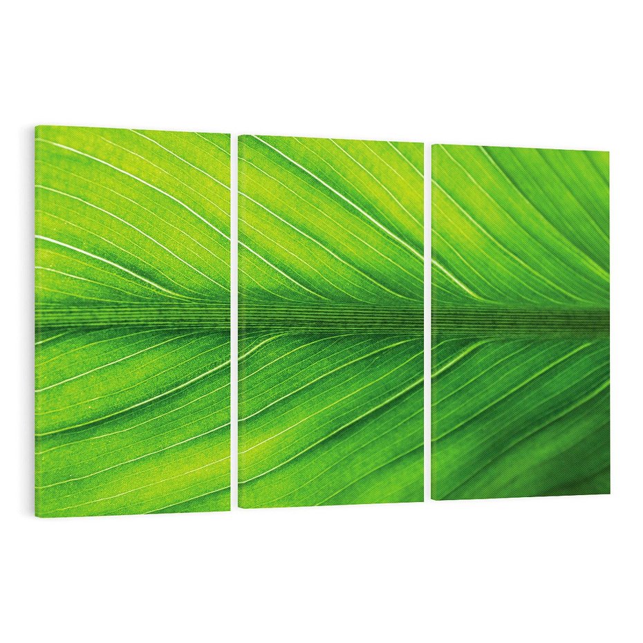 Obraz na płótnie 120x80 - Abstrakcja: interpretacje w liściach - liść, abstrakcja