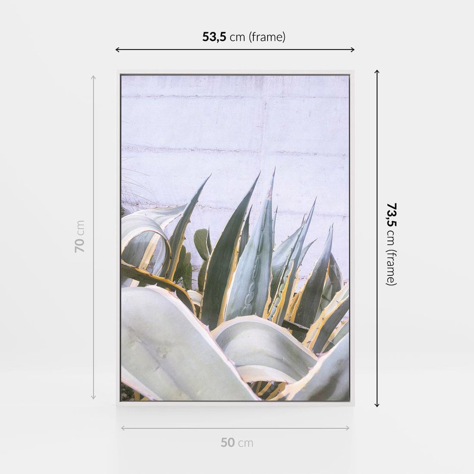 Obraz w ramie 50x70 - Sukulentowe liście - liście, sukulenty - rama biała