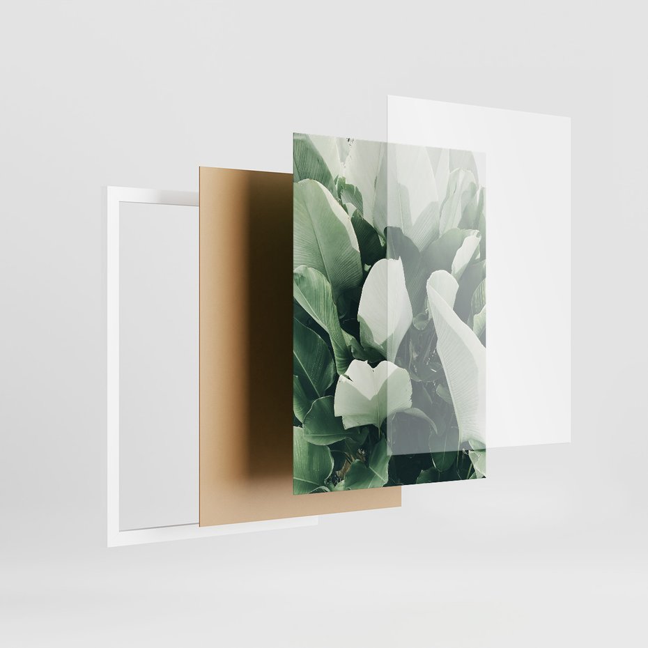 Zestaw obrazy w ramie 30x40 galeria - Liście, palma, monstera - rama biała