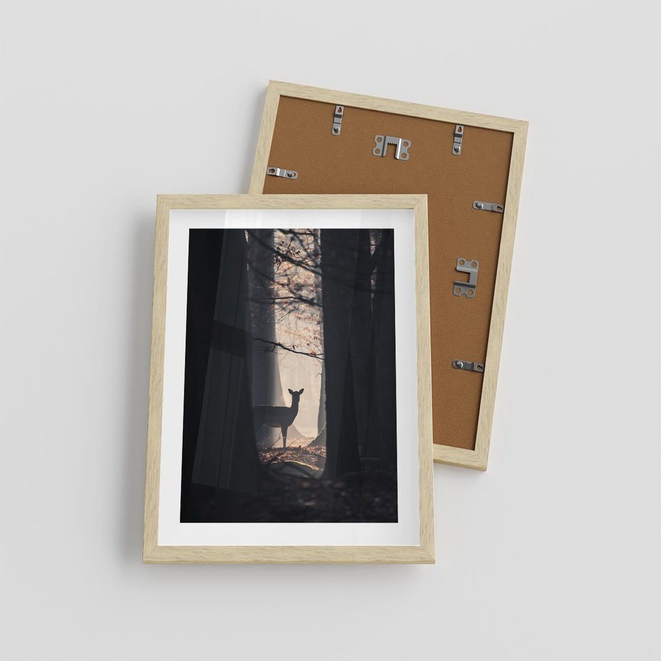 Plakat w ramie 30x40 - Sarnie Skoki - zdjęcie, klimatyczny las - rama drewno