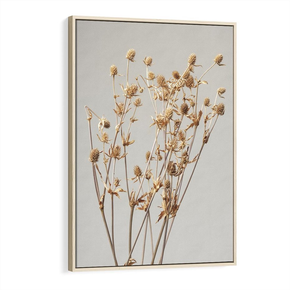 Obraz w ramie 70x100 - Delikatne gipsówki - gipsówka, suche - rama drewno