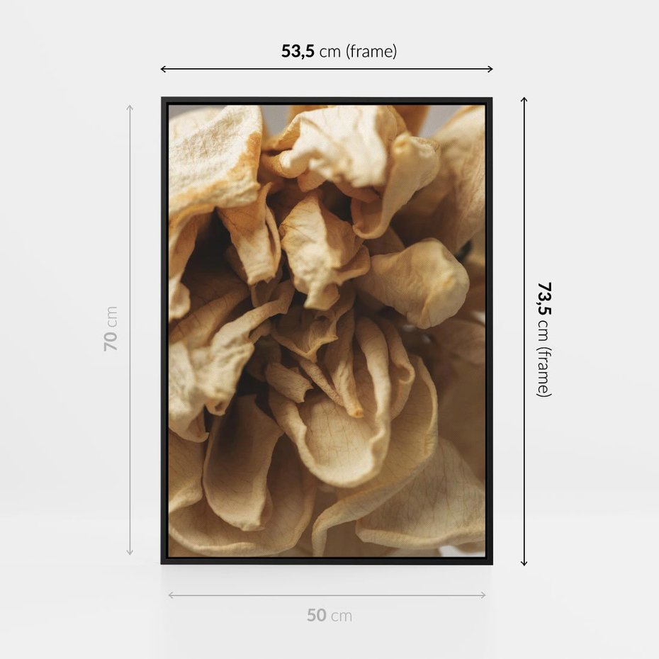 Obraz w ramie 50x70 - Zjawiskowe zasuszone kwiaty - zasuszone, kwiaty - rama czarna