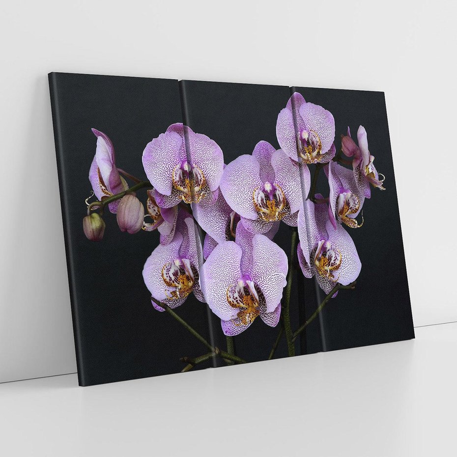 Obraz na płótnie 120x80 - Kwiatowy zachwyt pełen kolorów - kwiat, kwiaty