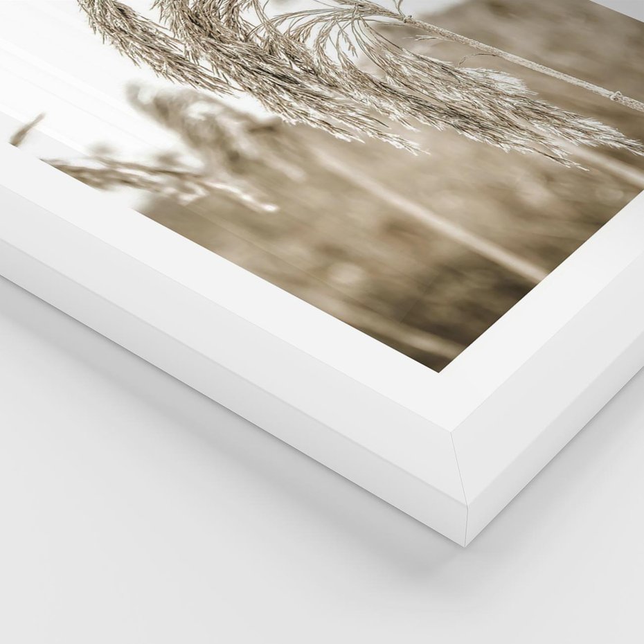 Plakat w ramie 30x40 - Ujęcie Suchych Traw - suche trawy, zbliżenie - rama biała