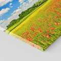 Obraz na płótnie 60x60 - Malownicze maki na łące - maki, łąka