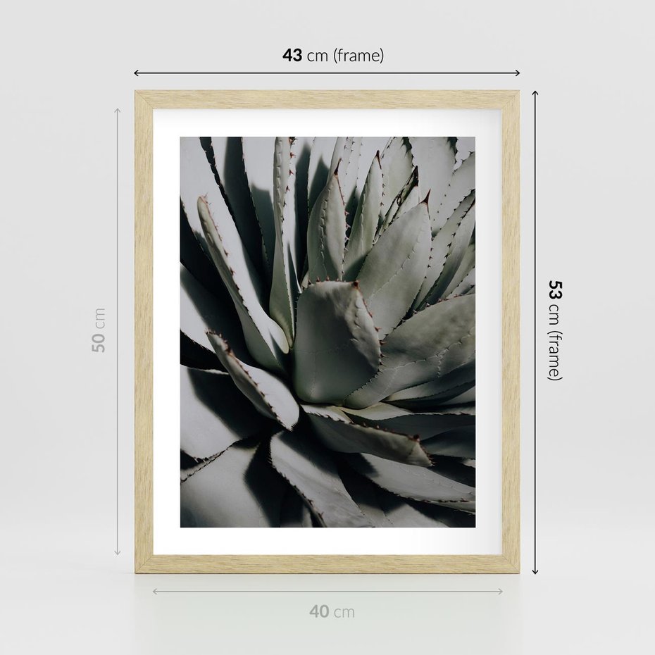 Plakat w ramie 40x50 - Sukulenty wśród kaktusów - sukulenty, kaktusy - rama drewno