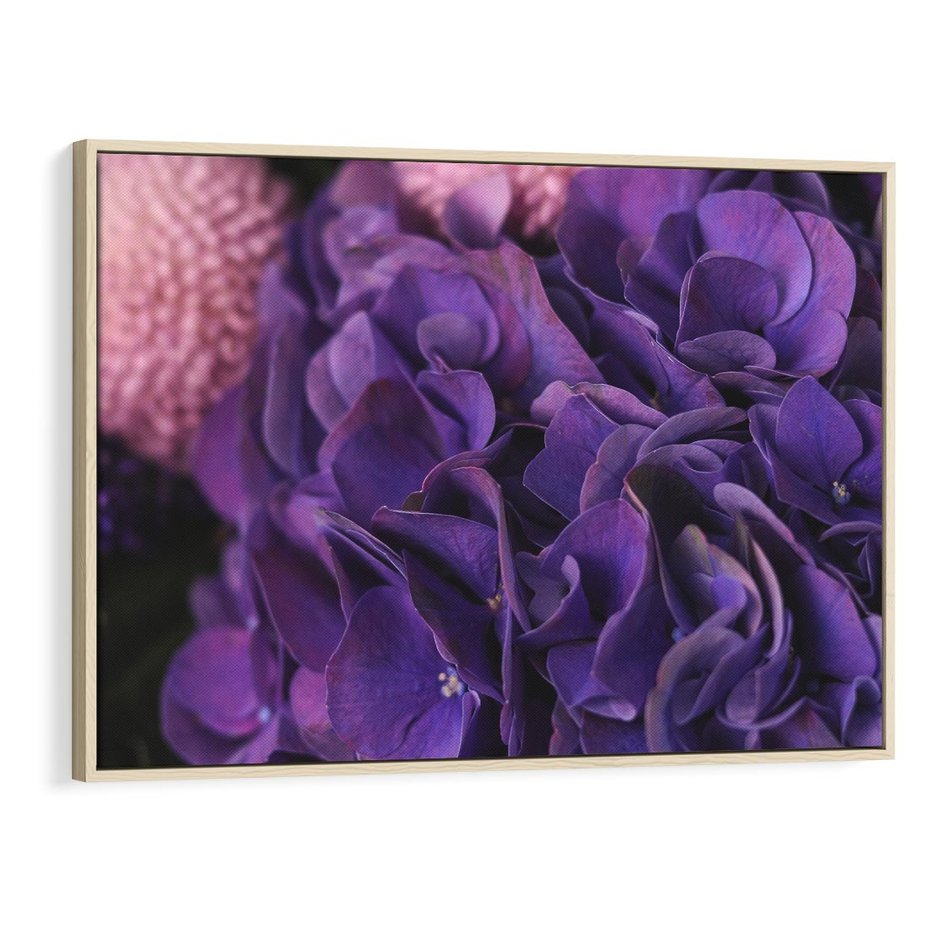 Obraz w ramie 120x80 - Fioletowa hortensja - kwiaty, hortensja - rama drewno