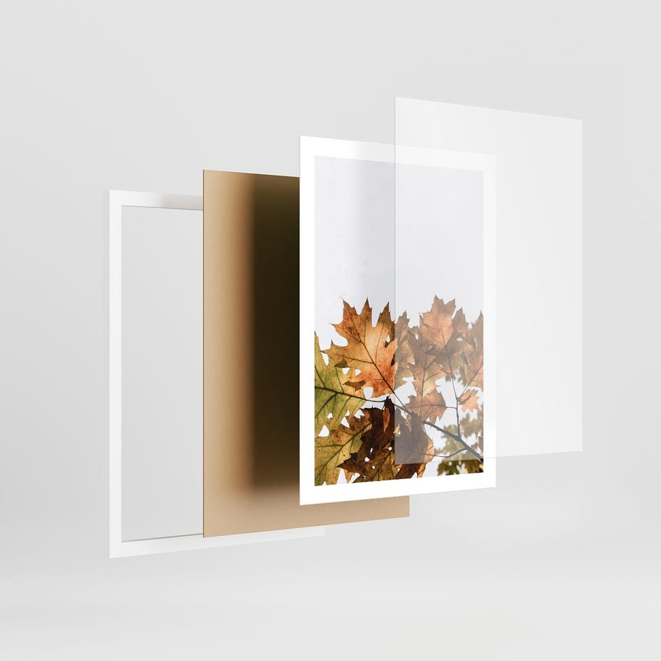 Plakat w ramie 50x70 - Suche Żółte Liście w Malowniczym Ujęciu - liście, żółte - rama biała