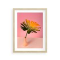 Plakat w ramie 30x40 - Egzotyczna monstera - monstera, liść - rama drewno