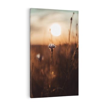 Obraz na płótnie 80x120 - Spokój łąki pod zachodem słońca - zachód, słońca