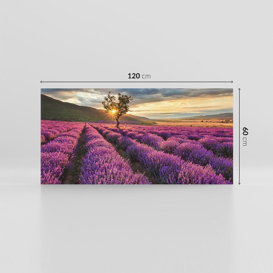 Obraz na płótnie 120x60 - Lawenda: Pachnący ogród natury - lawenda, kwiaty