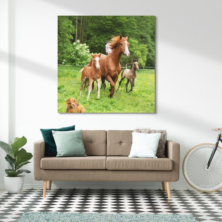 Obraz na płótnie 50x50 - Galopujące konie - konie, galop