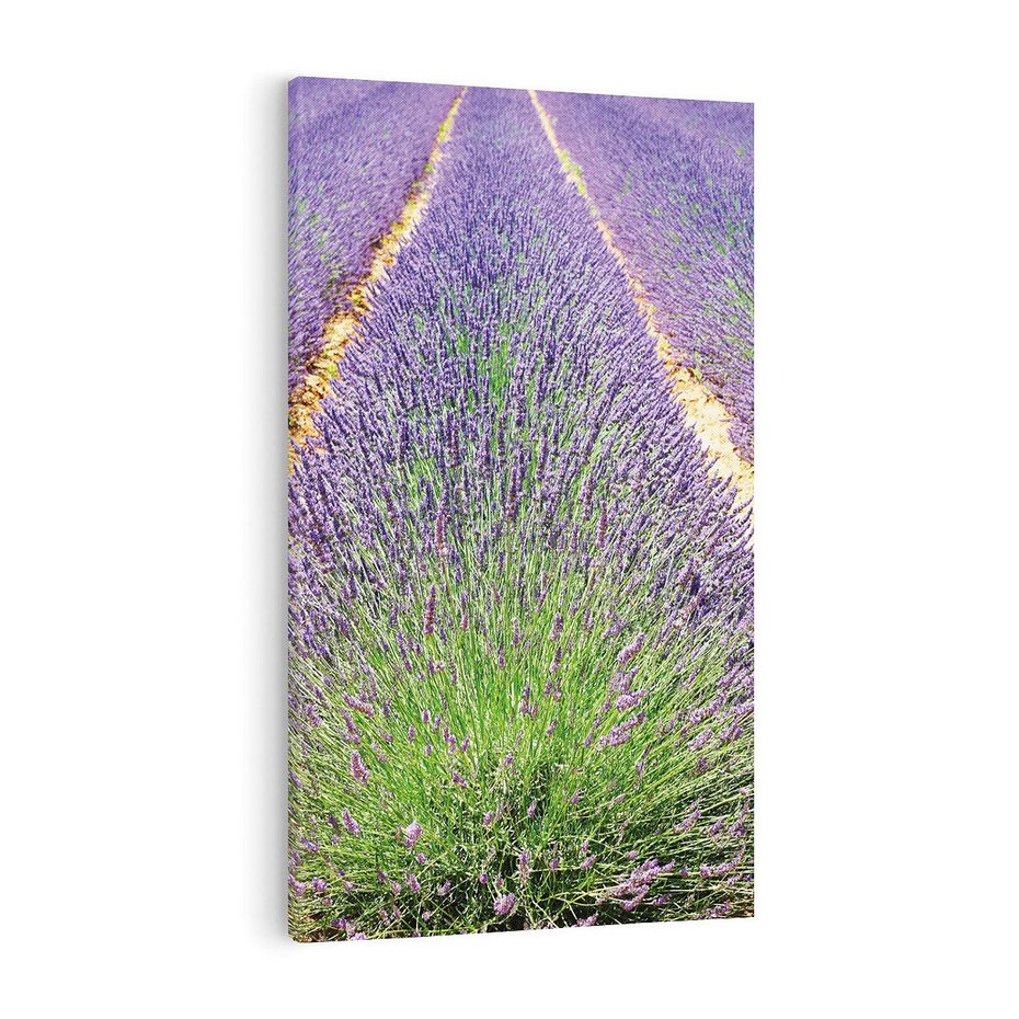 Obraz na płótnie 50x70 - Lawendowy kwiat - lawenda, kwiat