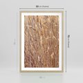 Plakat w ramie 50x70 - Mistrzowskie suche trawy - suche, trawy - rama drewno